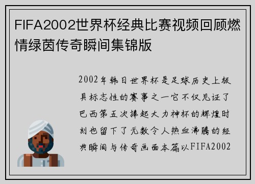 FIFA2002世界杯经典比赛视频回顾燃情绿茵传奇瞬间集锦版